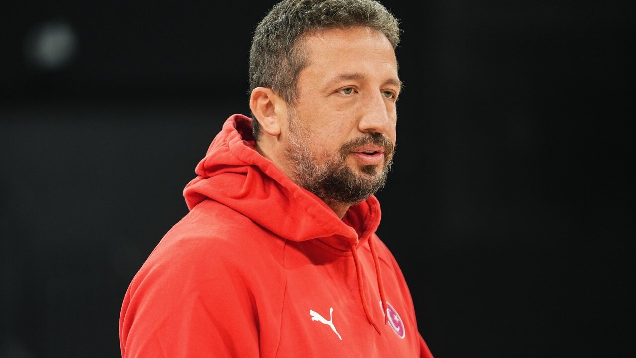 Hidayet T�rko�lu, Fransa ma�� hakk�nda a��klamalarda bulundu