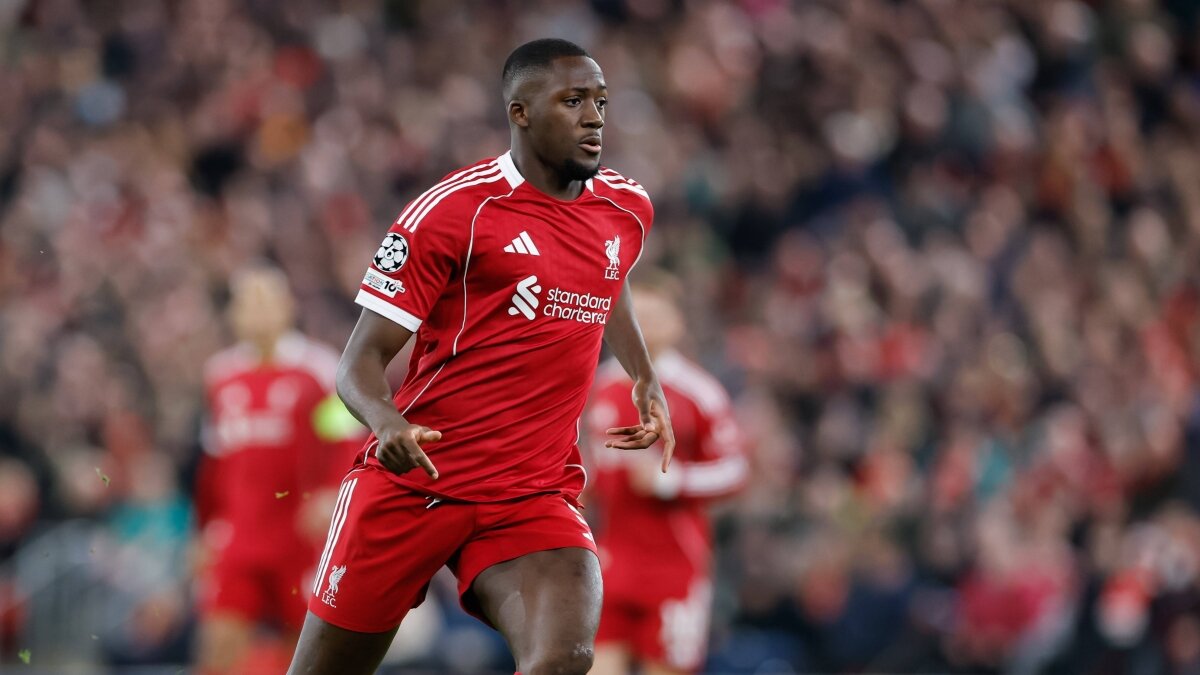 Tim Krul'dan Konate ve Kerkez'e ele�tiri!