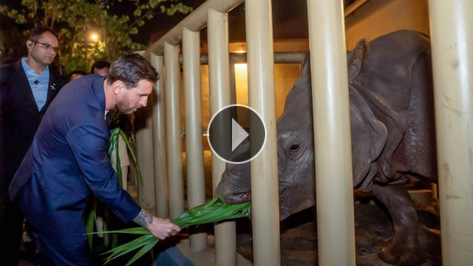 Messi, Hindistan ziyaretinde fillere top att�