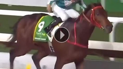 Sanki bu d�nyadan de�il; FOREVER YOUNG