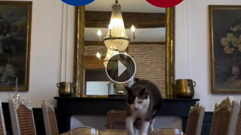 Kosova - T�rkiye i�in se�imini yapt�