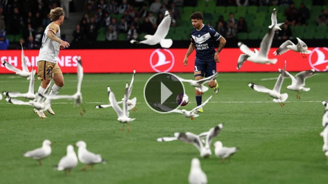 Avustralya'da ilgin� anlar: Sahay� mart�lar bast�