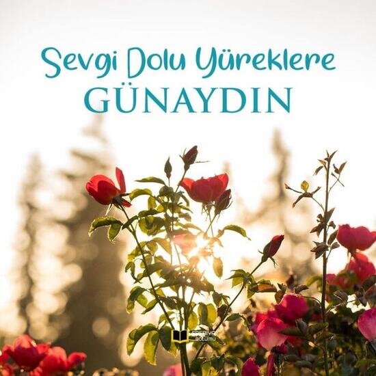 Gunaydin Icin Resimli Mesaj Gunaydin Yazan Resimli Mesajlar