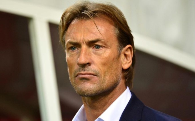 HERVE RENARD