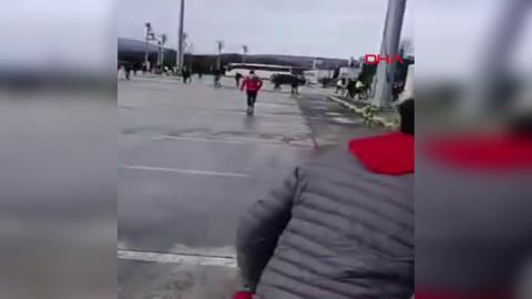 MA� �NCES� B�Y�K KAVGA