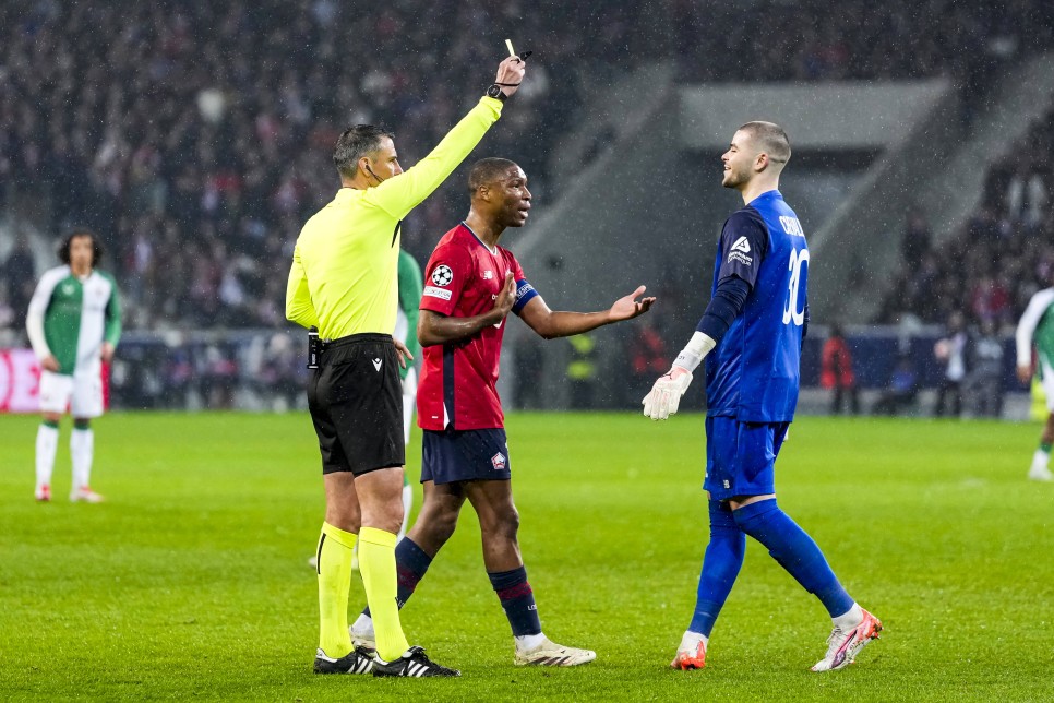 SLAVKO VINCIC, SLOVENYA