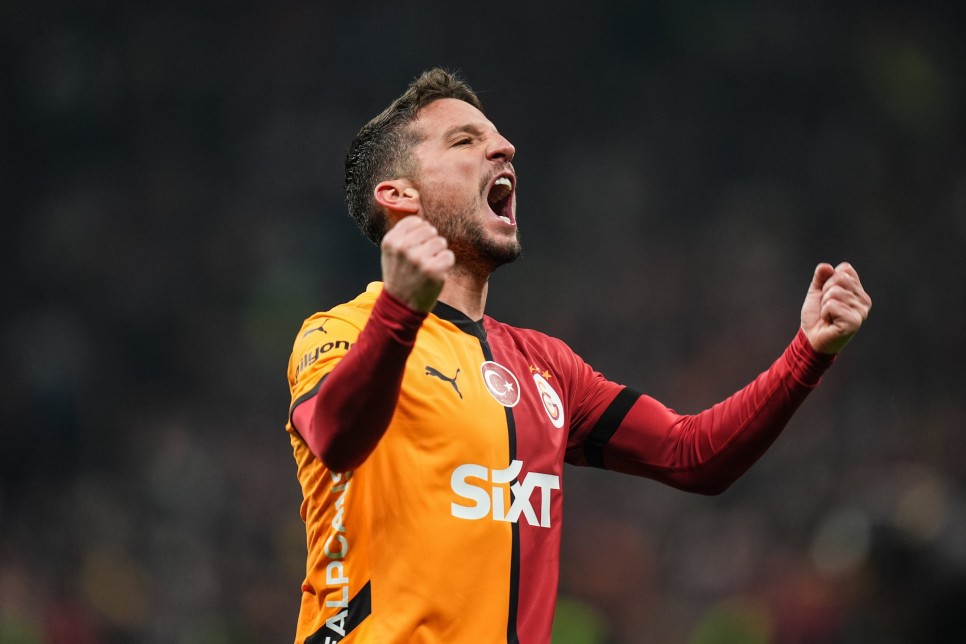 DRIES MERTENS