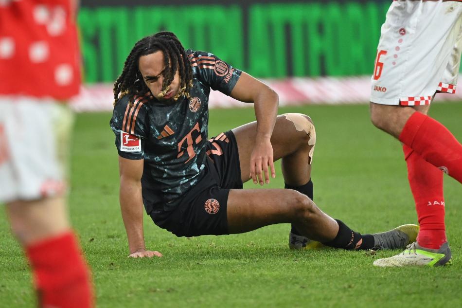 PYASA DEER 18 MLYON EURO
