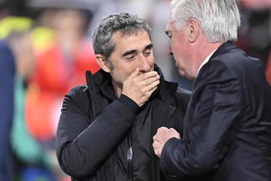 TAZM�NAT �STED�