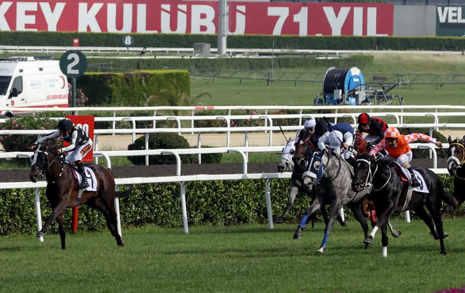 TERS K��E DURUMLAR