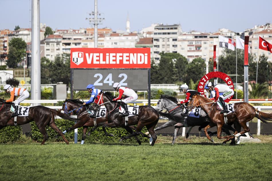 S�RPR�Z VE �OK SONU�LAR