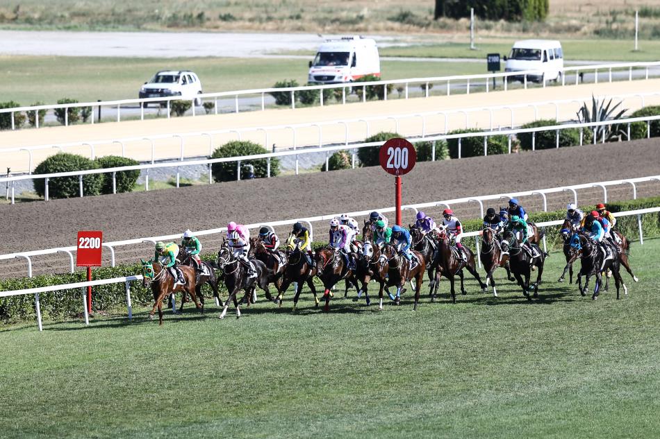 KURAL VE FORMAT DE����KL�KLER�