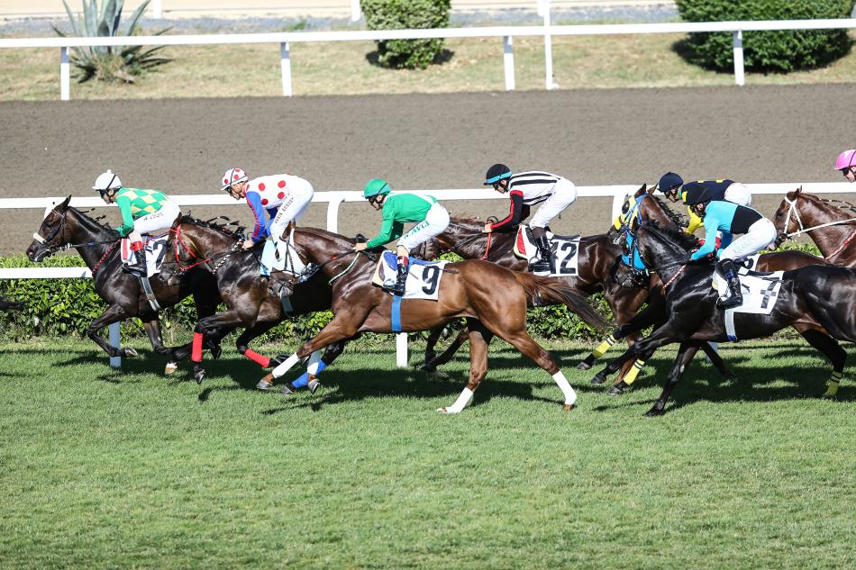 EK�R�LER 3-4 ATLA KATILAB�L�YORDU