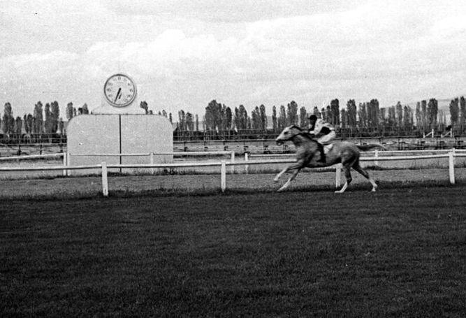 TAR�HSEL �LG�N�L�KLER