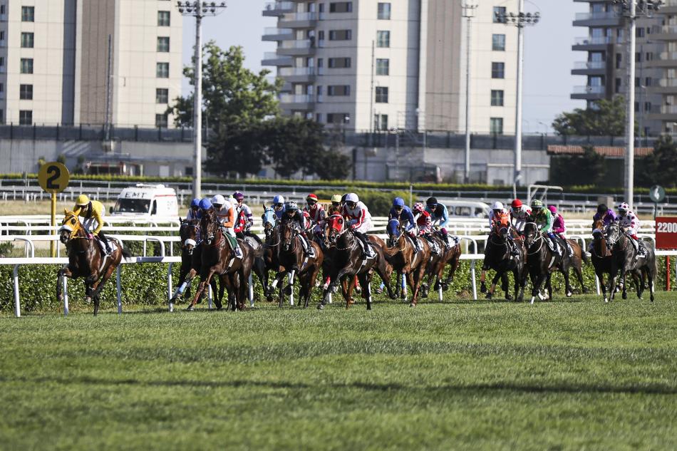 H�KAYES� OLAN ATLAR