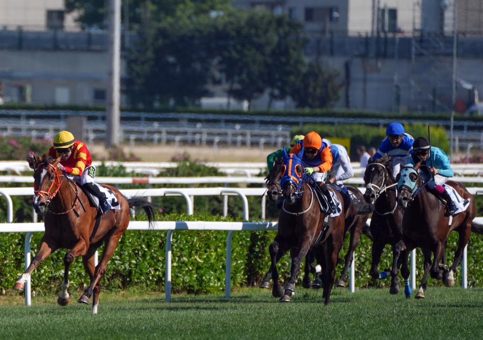 BOLD P�LOT REKORUN SAH�B�