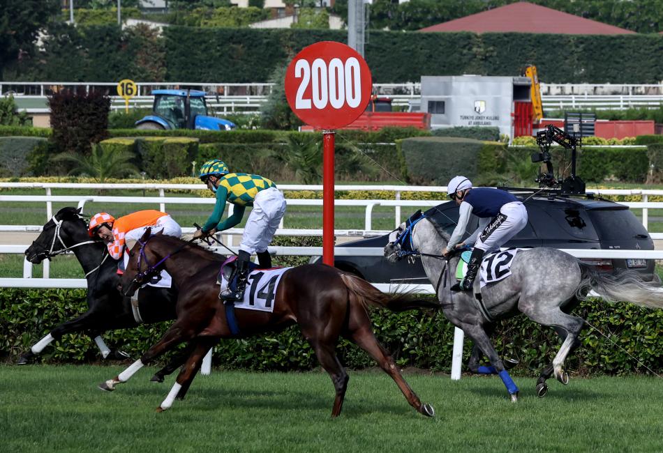 B�R�OK GAZ� GAL�B�, YURT DI�INA G�DEMED�