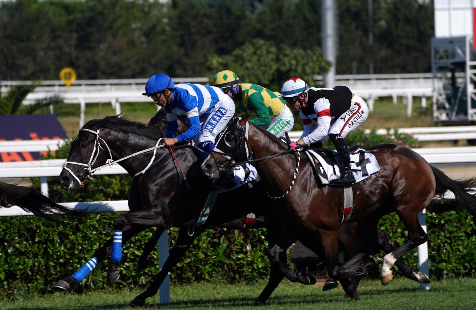 OR�J�N VE PED�GR� NOTLARI