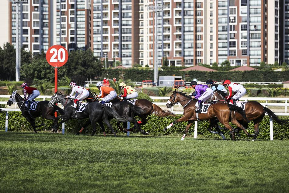 'FRENK ATI' DEN�LD� GAZ�'Y� KAZANDI