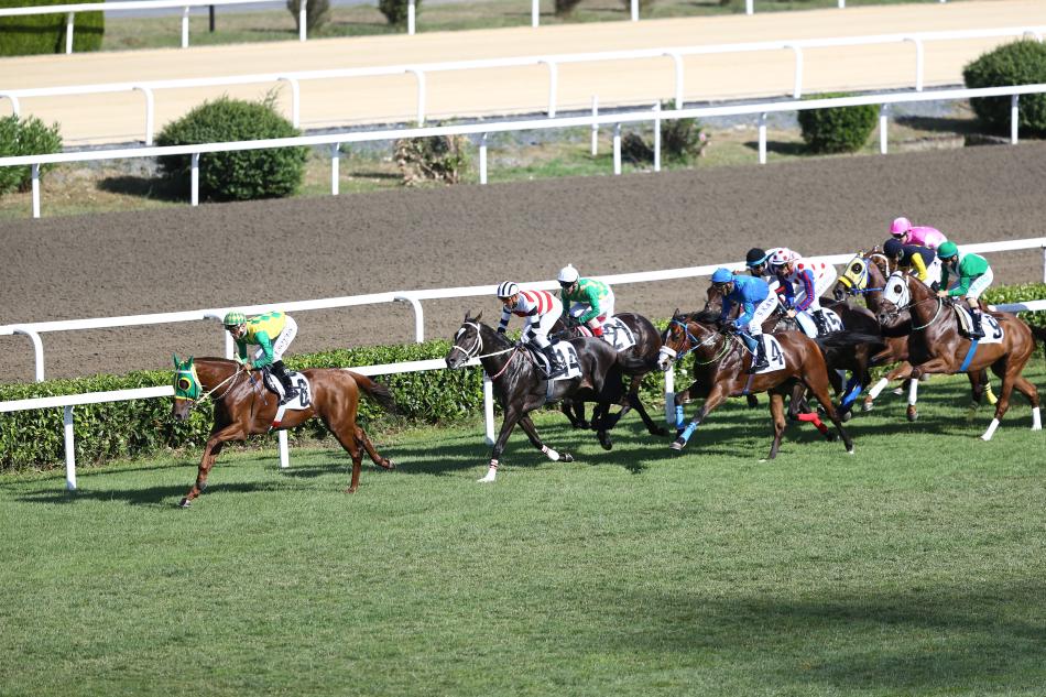 REKOR HALA BOLD PILOT'TA