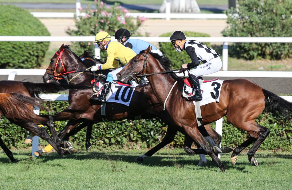 SPORUN EN �ZEL KUPASI