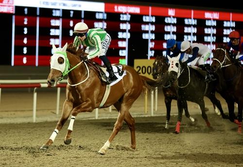 EN �OK EL�YE��L EK�R�S� KAZANDI