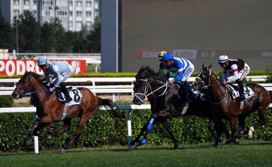 �ST �STE 7 YIL: REKOR