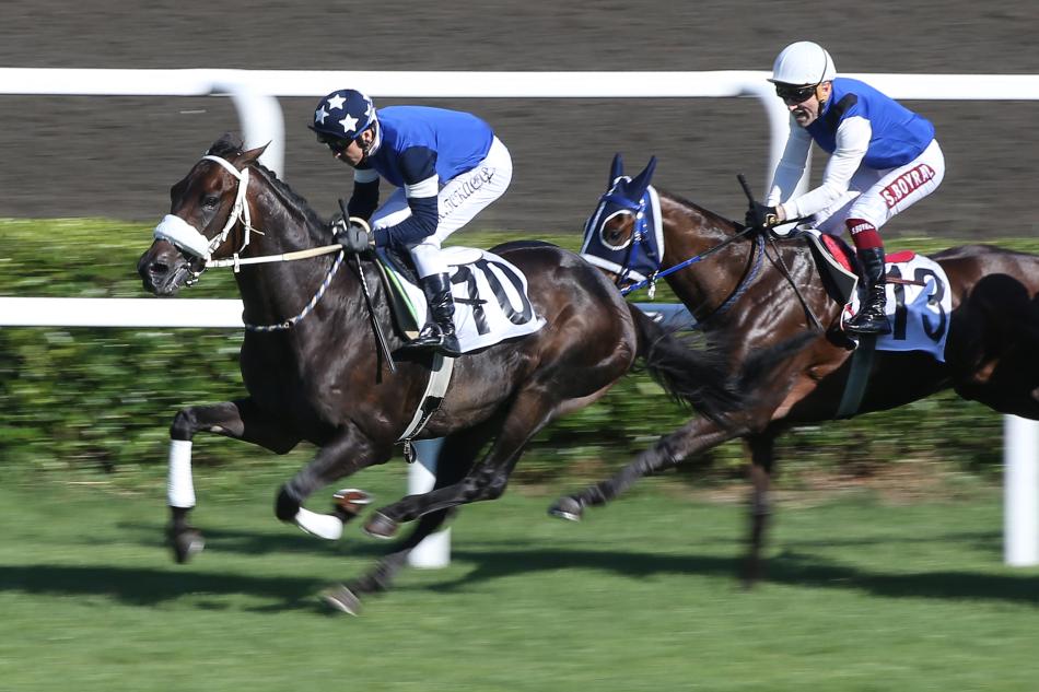 SPORX'TEN GAZ� KO�USU REHBER�