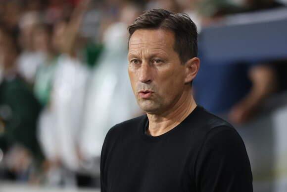 ROGER SCHMIDT: 516.7 MLYON EURO