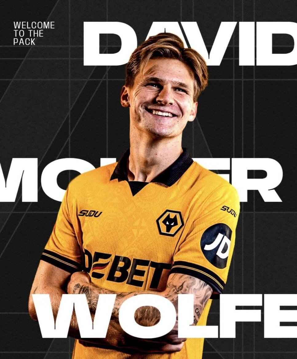 DAVID MOLLER WOLFE