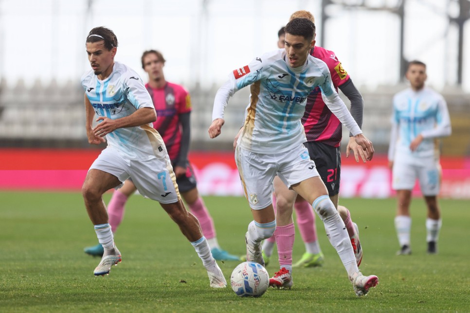 NIKO JANKOVIC GELMES