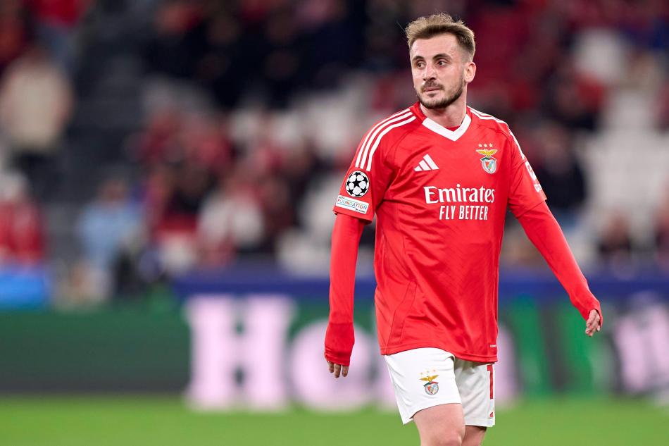 ASLAN TEMALI KARESN KALDIRDI