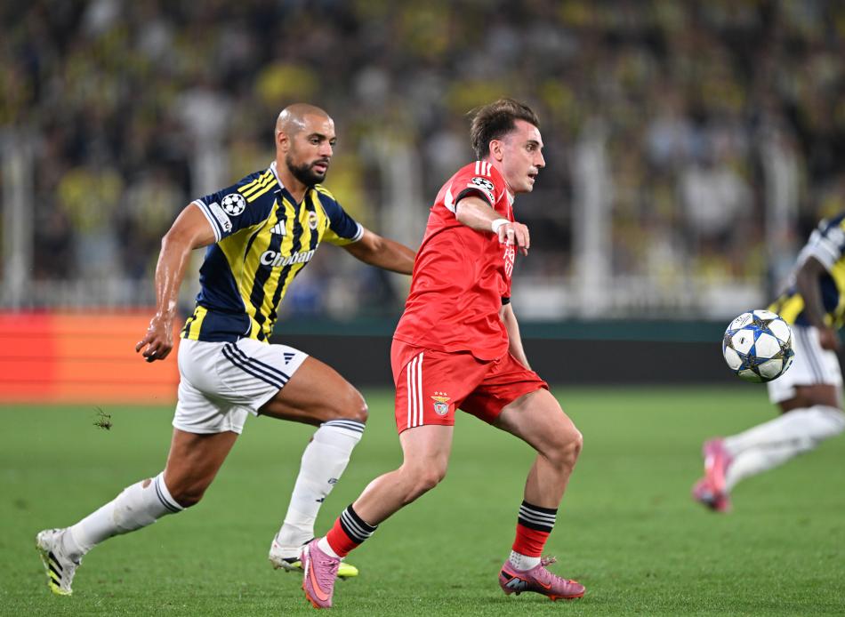 TEKN�K D�REKT�RLER NE DED�?