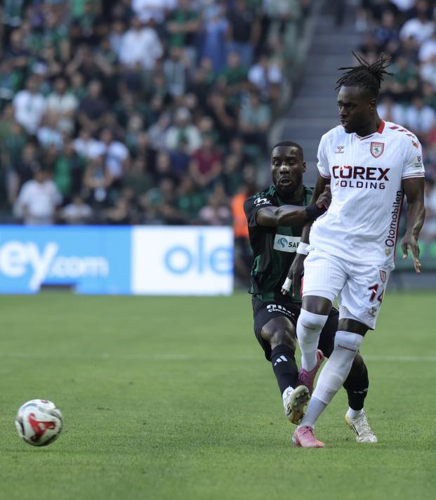 PANA'NIN ELEME TURU KARNES�