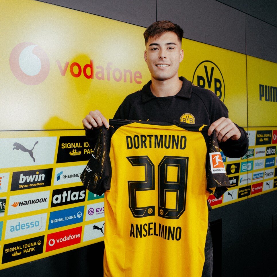 AARON ANSELMINO