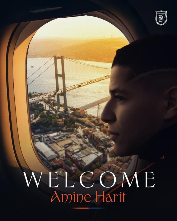AMINE HARIT