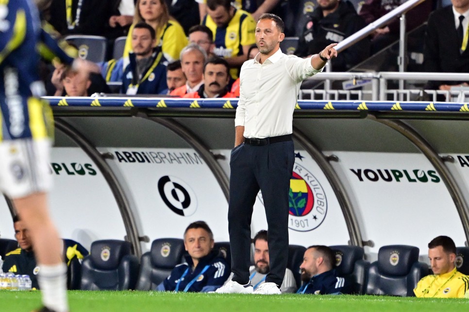 DOMENICO TEDESCO'DAN AIKLAMALAR