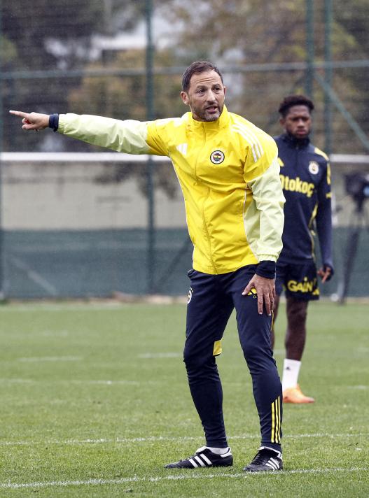 DMANDA NELER YAANDI?