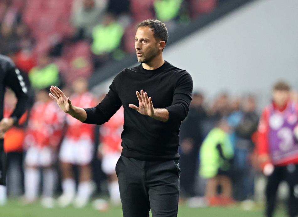 TEDESCO ESK� ��RENC�S� ���N DEVREDE