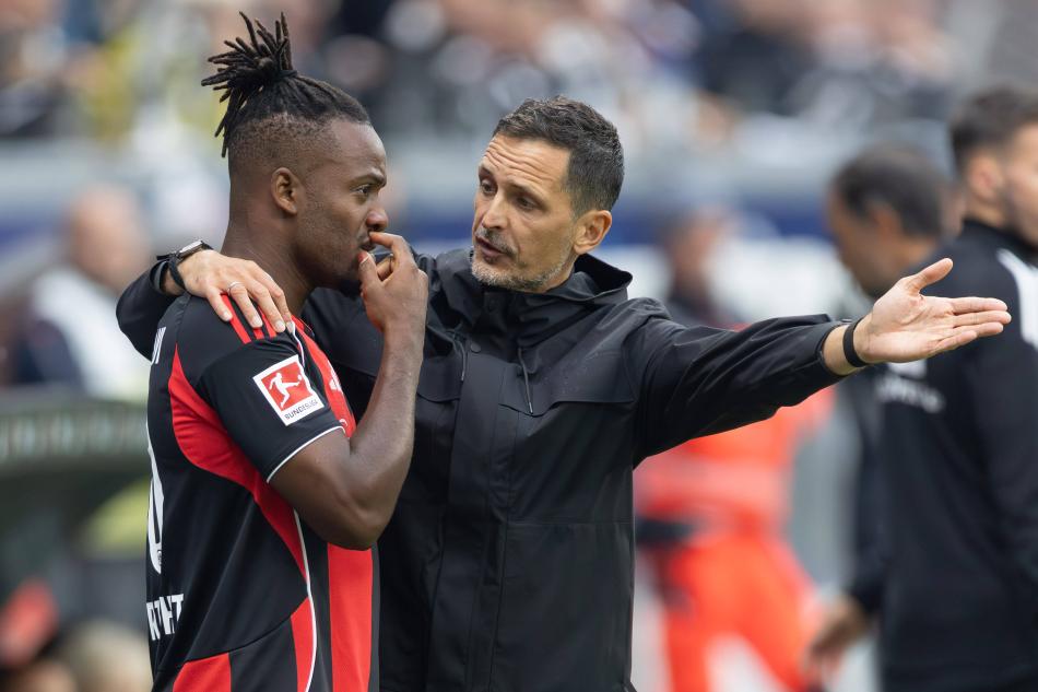 FRANKFURT PERFORMANSI