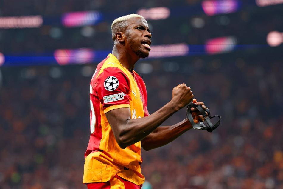 Y�NET�M BONSERV�S� NETLE�T�RD�