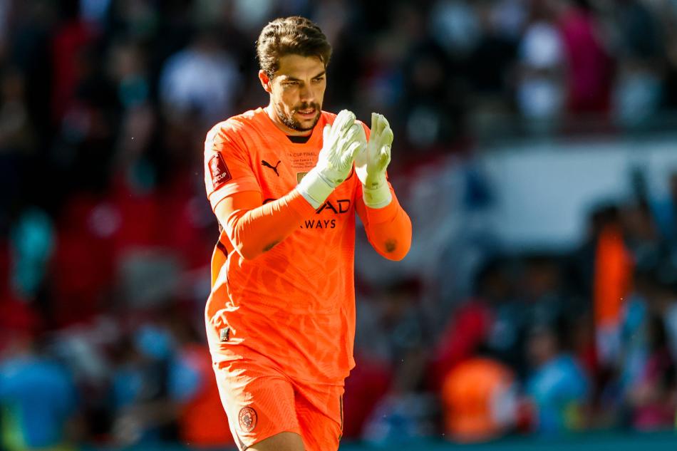 PYASA DEER 6 MLYON EURO