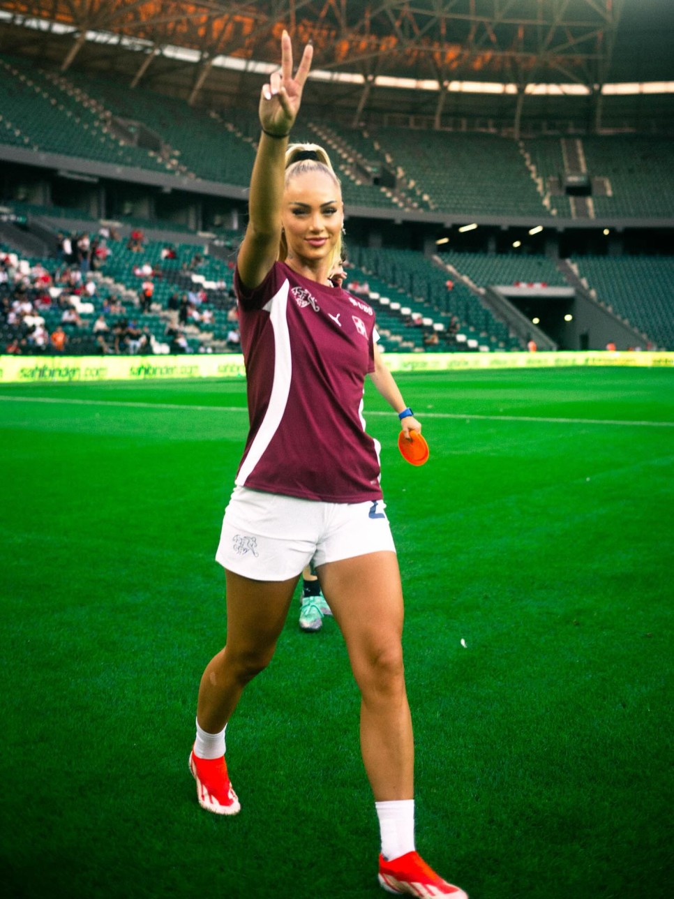 LEHMANN'A HIRSIZLIK OKU