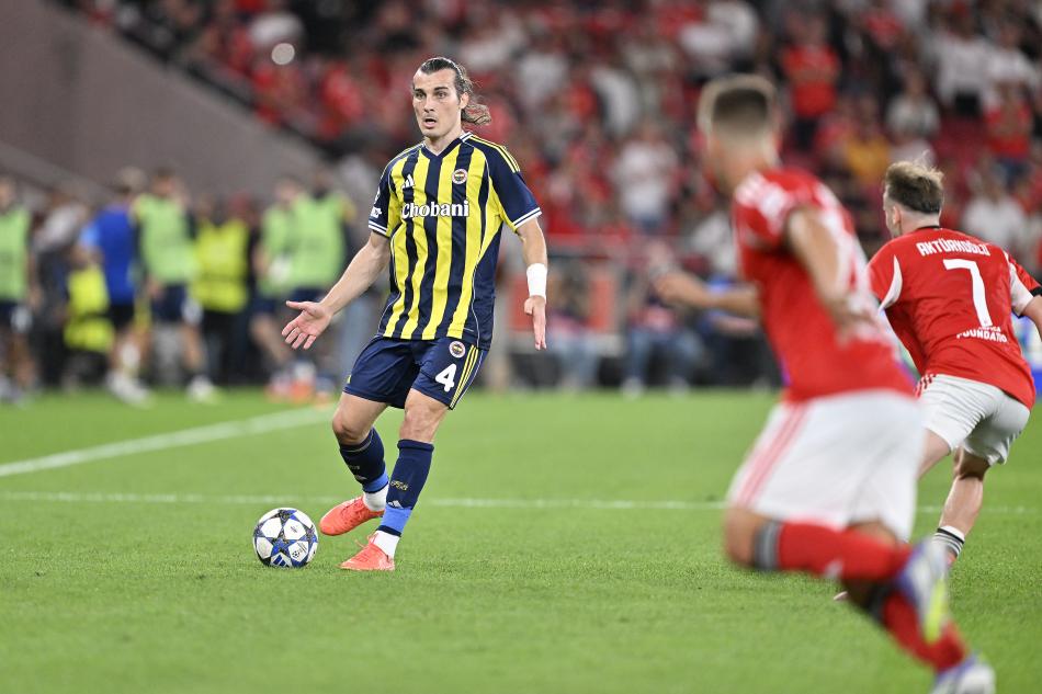 F.BAHE'NN TAVRI MERAK KONUSU