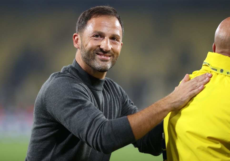 DOMENICO TEDESCO'NUN AIKLAMALARI