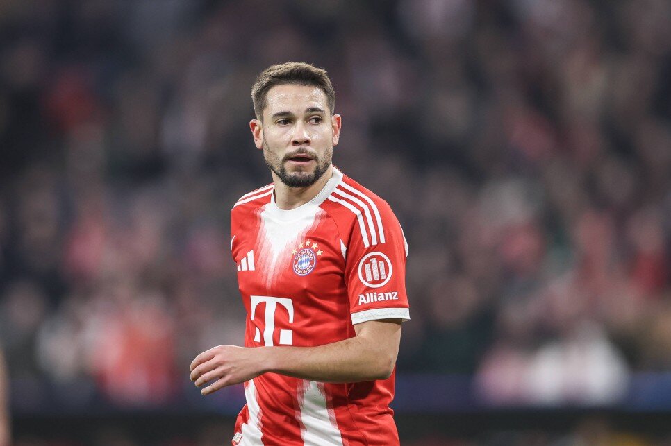 RAPHAEL GUERREIRO