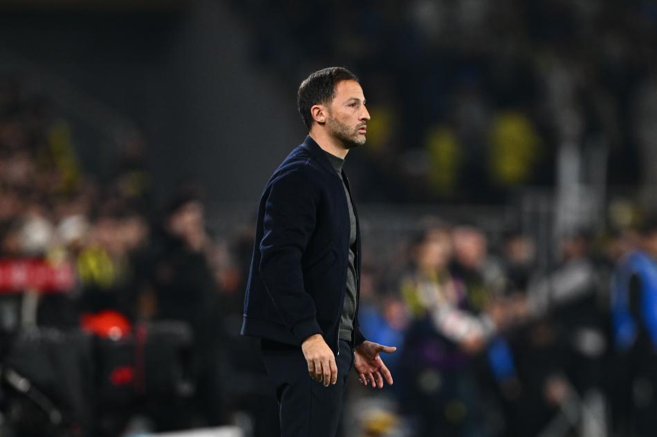 DOMENICO TEDESCO'DAN A�IKLAMALAR
