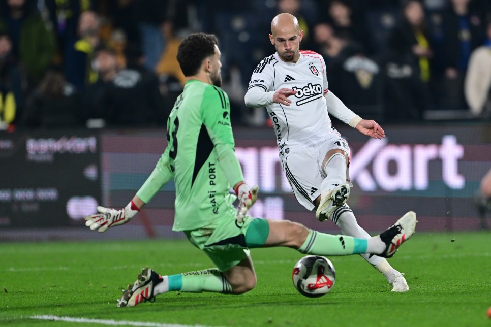 KORUYUCU A�LES� T�RKT�