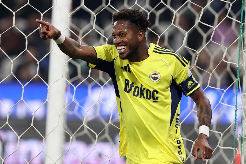 3. �N ELEME TURU: HOLLANDA