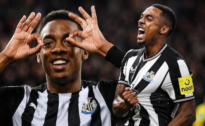 JOE WILLOCK